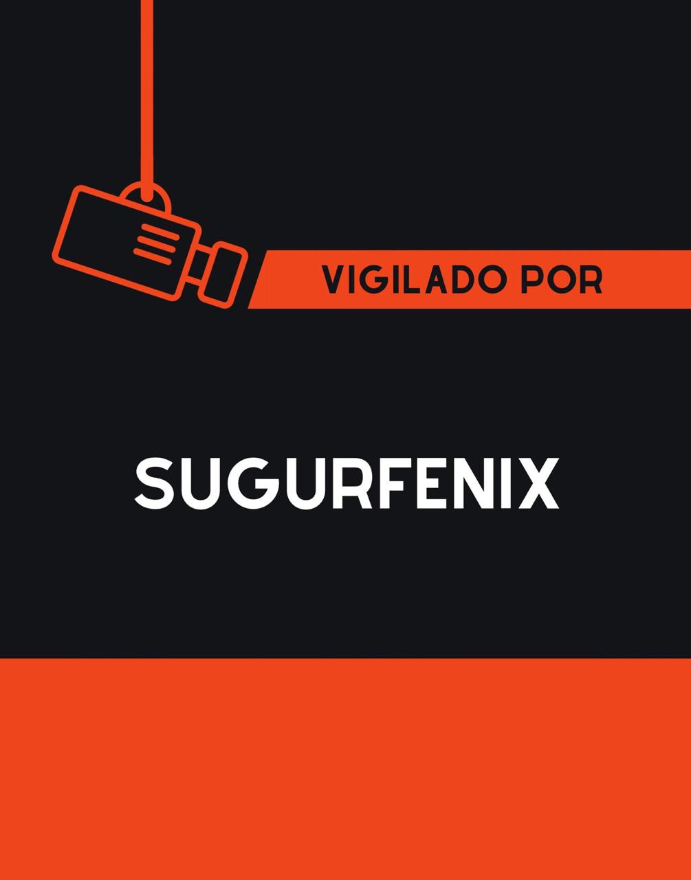 Guardia de seguridad profesional